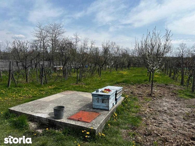 Casă cu 4 camere cu Teren 125 Mp în Central