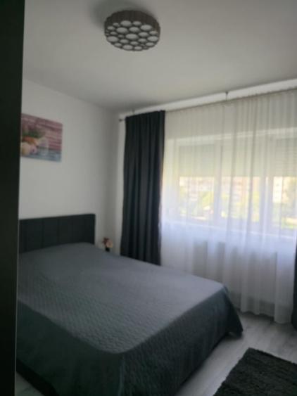 Apartament cu 3 camere semidecomandat în Dacia