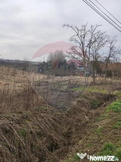 Teren de 2341 mp, în Uileacu de Munte