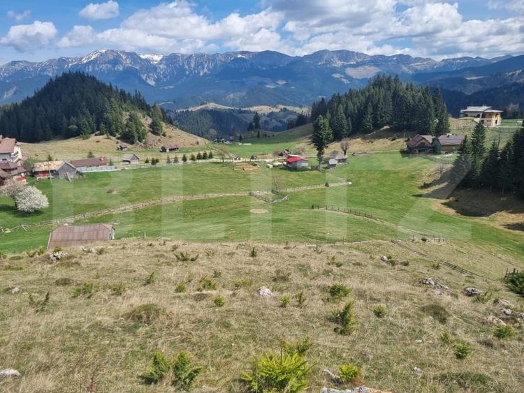 Teren Construcții intravilan de 16874 mp, în Fundata