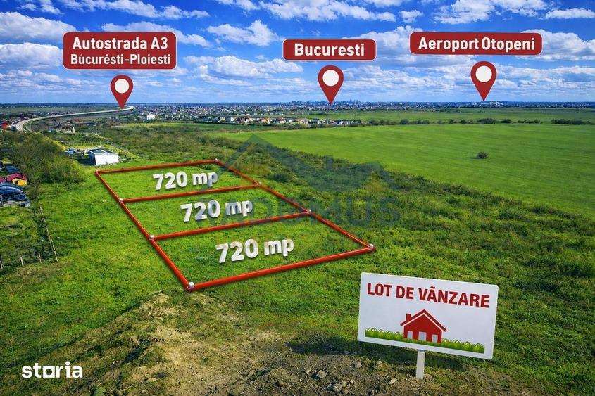 Loturi teren Intravilan Balote?ti | 720 mp | Utilitati I 60 /MP - 4