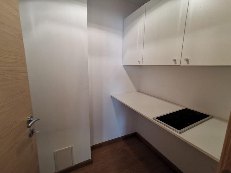 Apartament cu 4 camere, mobilat în Kiseleff