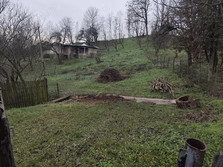 Teren de 3674 mp, în Trestioara