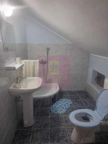 Casă cu 7 camere cu Teren 1500 Mp în Islaz