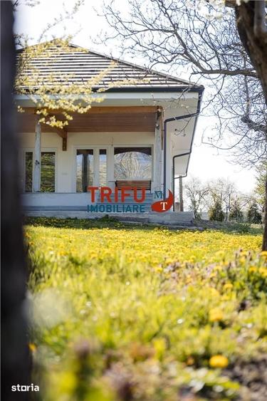 Teren de 11771 mp, în Vințu de Jos