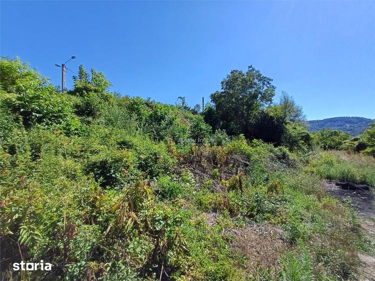 Resita, Teren Intravilan 473 Mp., Cu Utilitati, Zona Mociur - 12