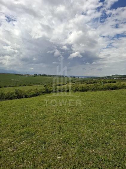 Teren de 11500 mp, în Daia