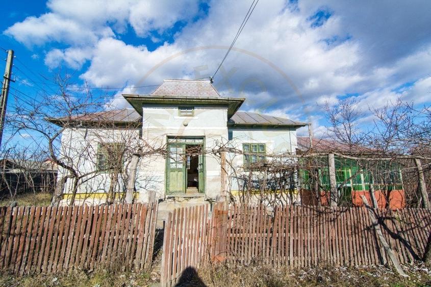 Casă individuală cu 3 camere cu Teren 4145 Mp în Vedea