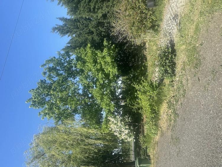 Teren de 240000 mp, în Cenad