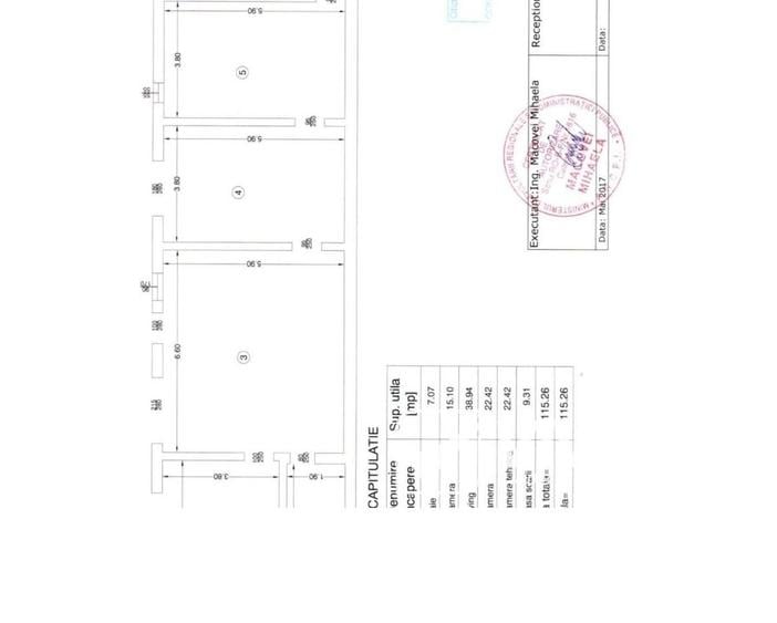Copou-serv. Cazier Judiciar, casa cu piscina, 320mpU, 915 mp teren - 14