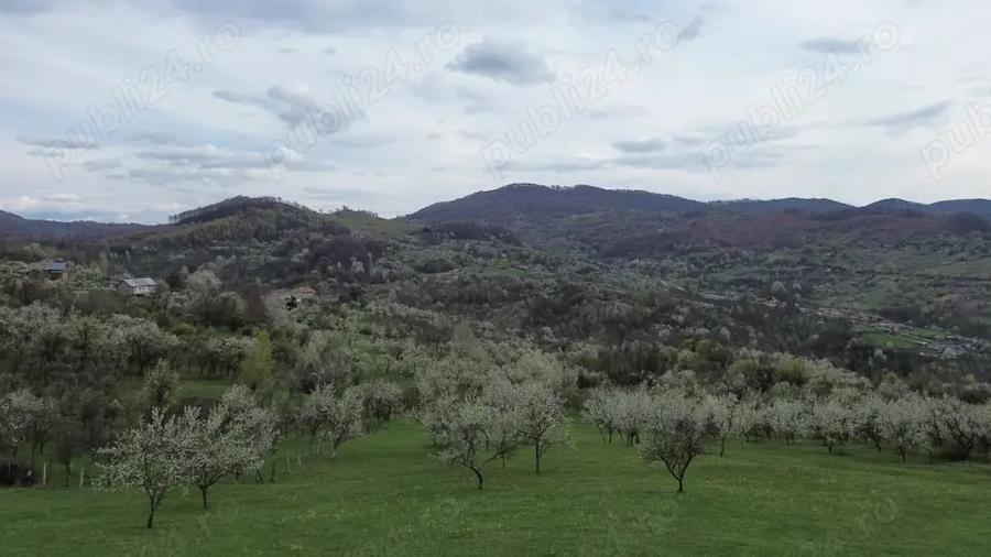 Teren de 8316 mp, în Berislăvești