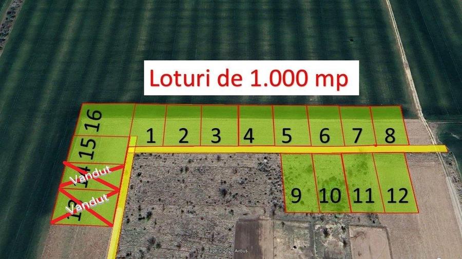 Teren Construcții intravilan de 1000 mp, în Ciolpani