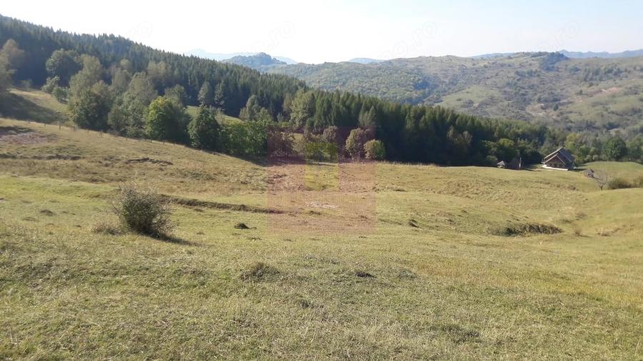 Teren de 9037 mp, în Central