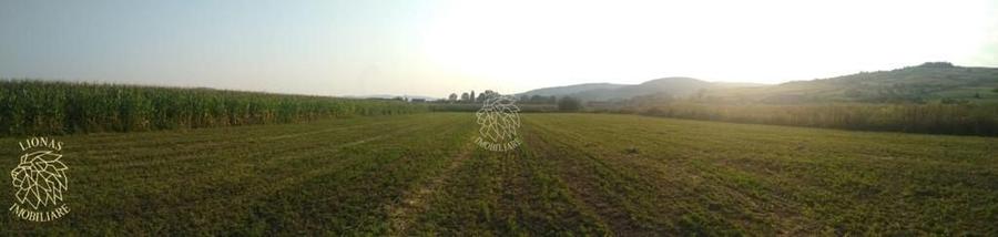 Teren agricol extravilan de 5500 mp, în Jelna