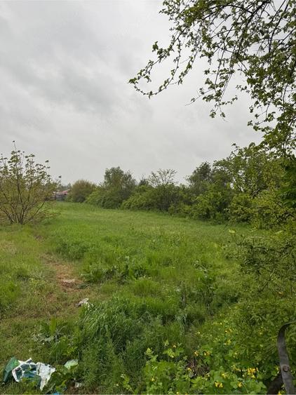 Teren de 2200 mp, în Gostinu