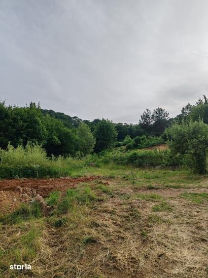 Teren de 900 mp, în Tăuții-Măgherăuș