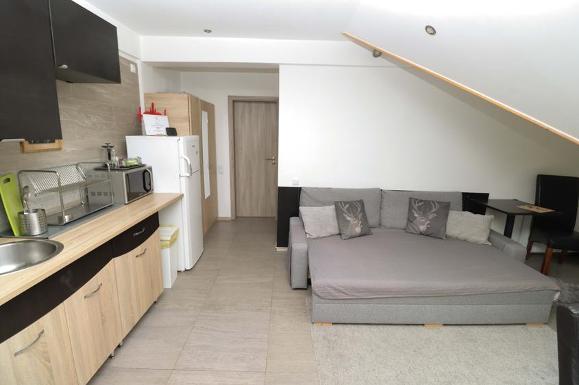 Apartament cu 2 camere semidecomandat în Bușteni