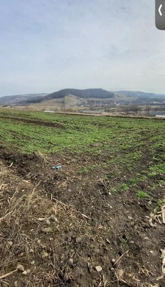 Teren de 2000 mp, în Huși