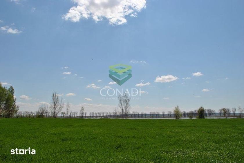 Teren de 2270000 mp, în Ciocănești