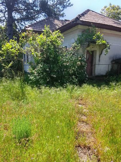 Teren de 2700 mp, în Dobrești