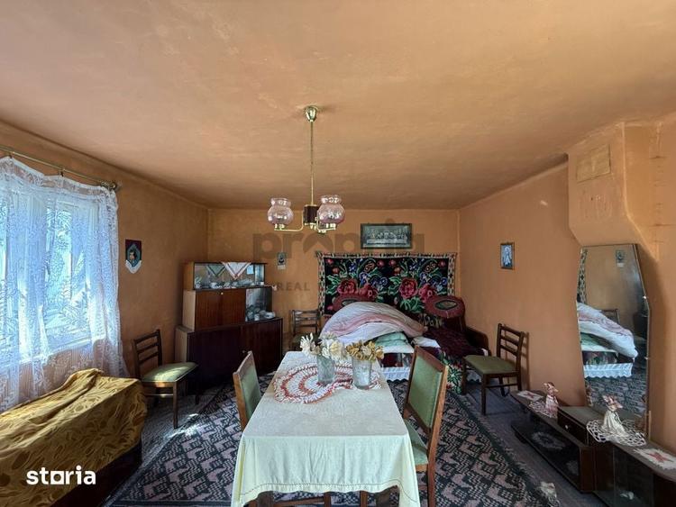 COMISION 0% - CASA PITOREASCA IN ACRI? - VAMA BUZAULUI - 14