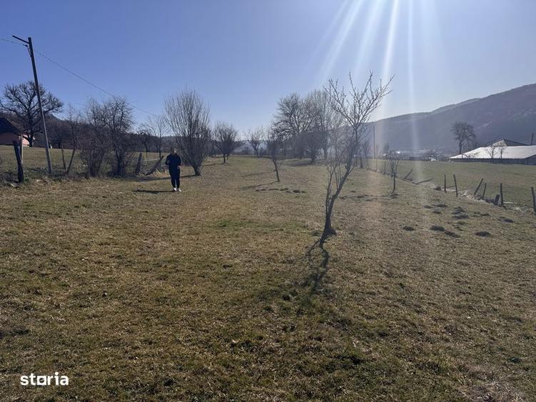 Teren de 3020 mp, în Negreni