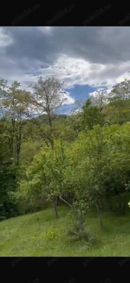 Teren de 2050 mp, în Bărbătești