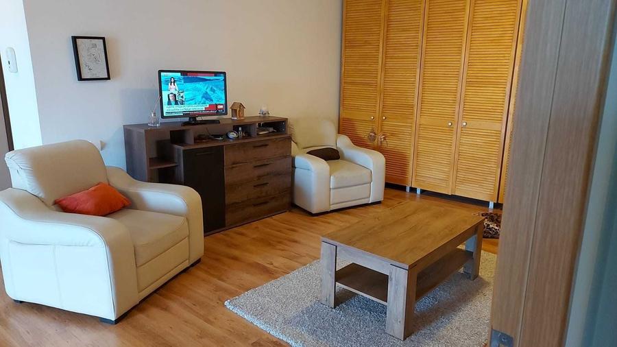 Apartament cu 2 camere semidecomandat în Ozana