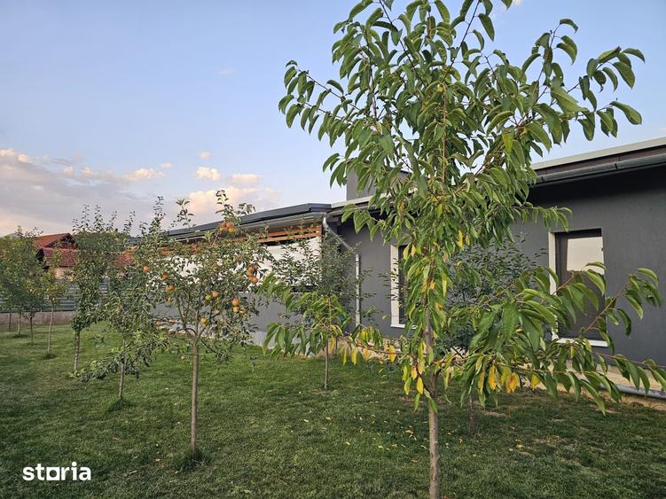 Casă cu 3 camere cu Teren 1078 Mp în Șoimuș