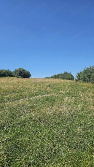 Teren de 2200 mp, în Tohănița