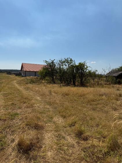 Teren Construcții extravilan de 800 mp, în Șimian