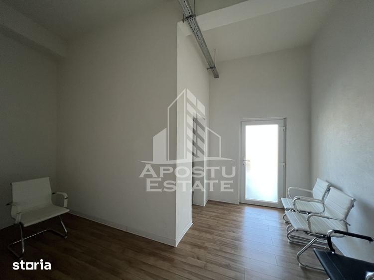 Spațiu comercial, de 314 mp, în Iosefin