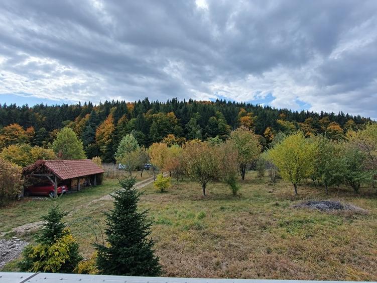 Casă individuală cu 4 camere cu Teren 2000 Mp în Vulcan