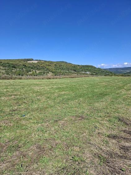 Teren de 2500 mp, în Sfăcăru