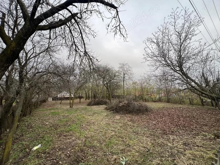 Teren de 1270 mp, în Sărata