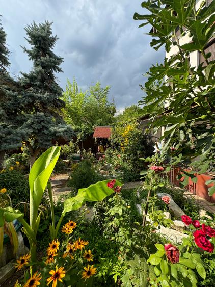 Casă cu 9 camere cu Piscina în Băneasa