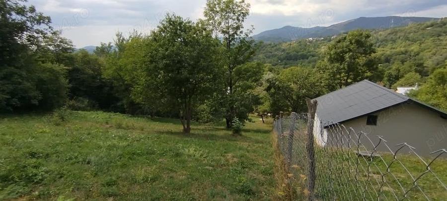 Teren intravilan la munte pentru casa , cabana , pensiune - 1