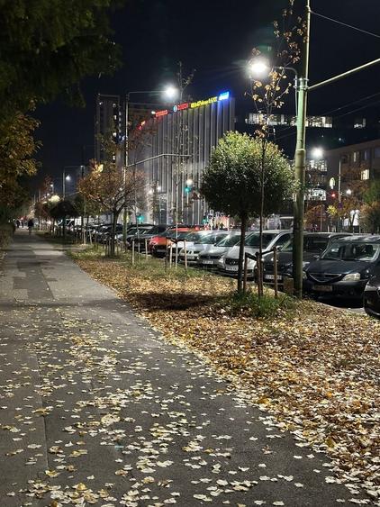 Garsonieră decomandată, mobilată în Take Ionescu