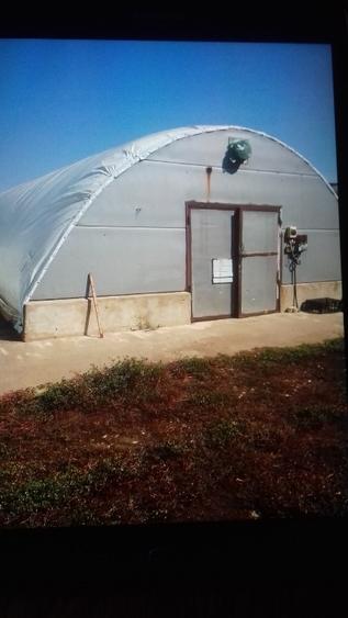 Teren agricol intravilan de 10000 mp, în Mihail Kogălniceanu
