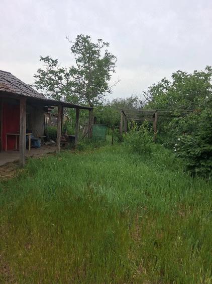 Casă cu 2 camere cu Teren 1100 Mp în Curtici