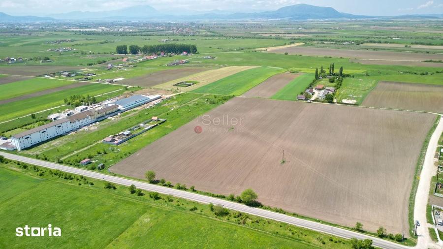 Teren de 31800 mp, în Sânpetru