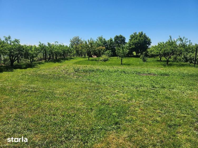 Casă cu 3 camere cu Teren 3400 Mp în Itești