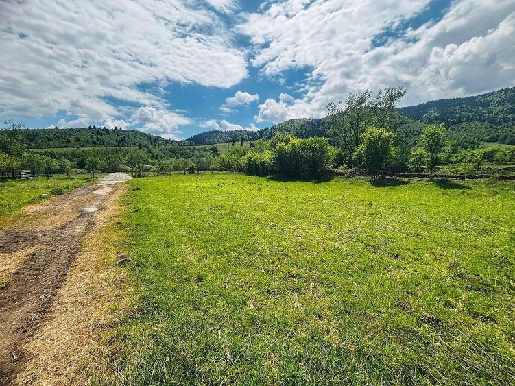 Teren de 1053 mp, în Nucșoara