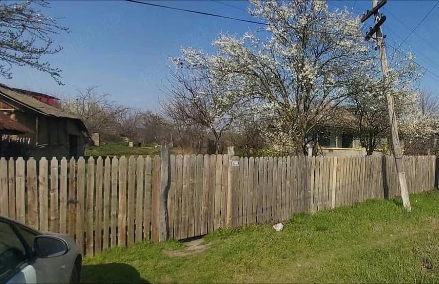Teren de 7700 mp, în Letca Veche