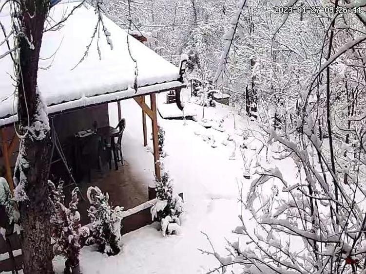 Casa vacanta Lopatnita Prahova - 7