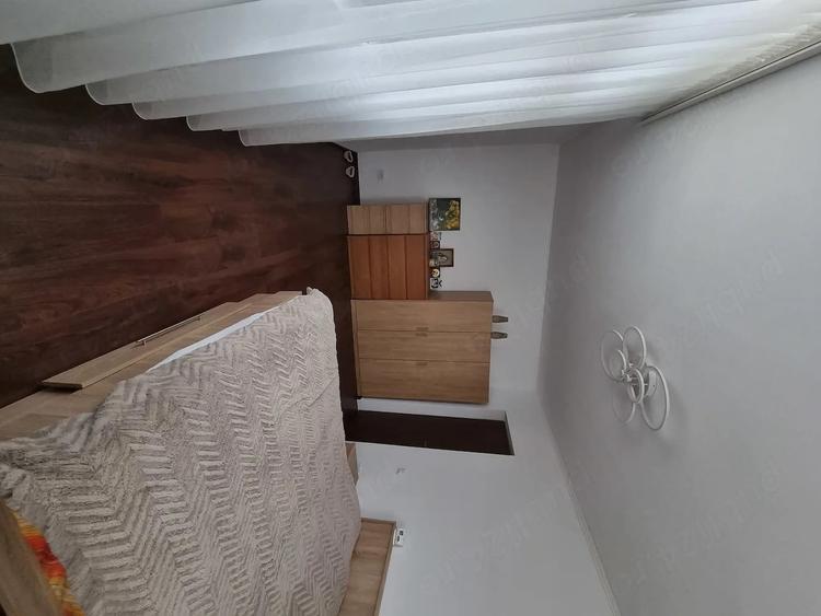 Inchiriere apartament 2 camere Snagov - 4