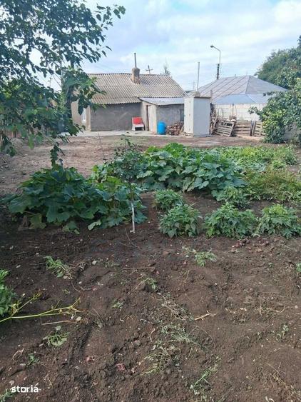 Casă cu 2 camere în Sârbi