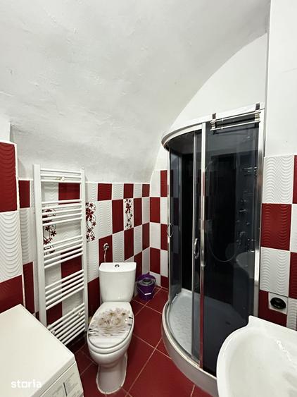 Apartament cu 3 camere, mobilat în Boul Roșu