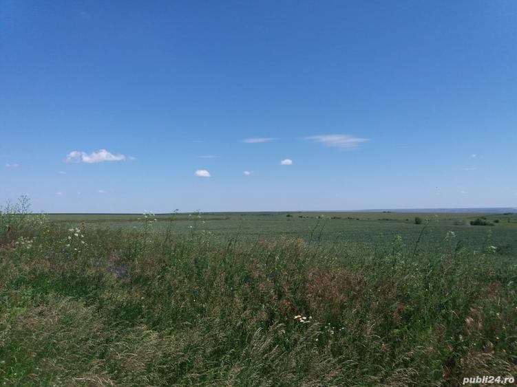 Teren de 4200 mp, în Tulucești