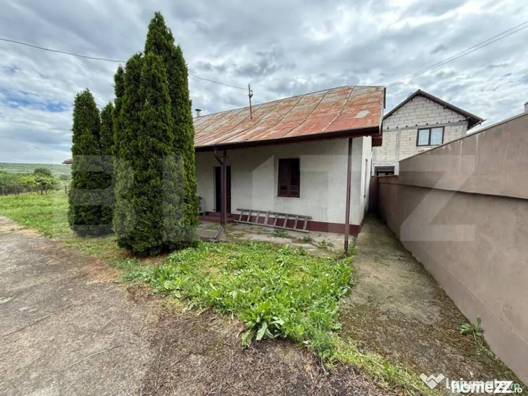 Casa pe parter+casa de oaspeti, 3000 mp teren, zona Cotofeni - 13